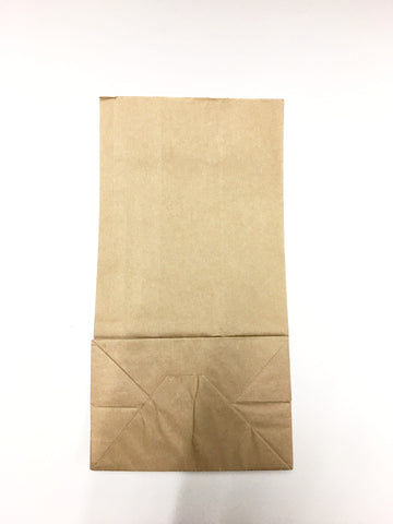 PAPER BAGS - Normal - Large